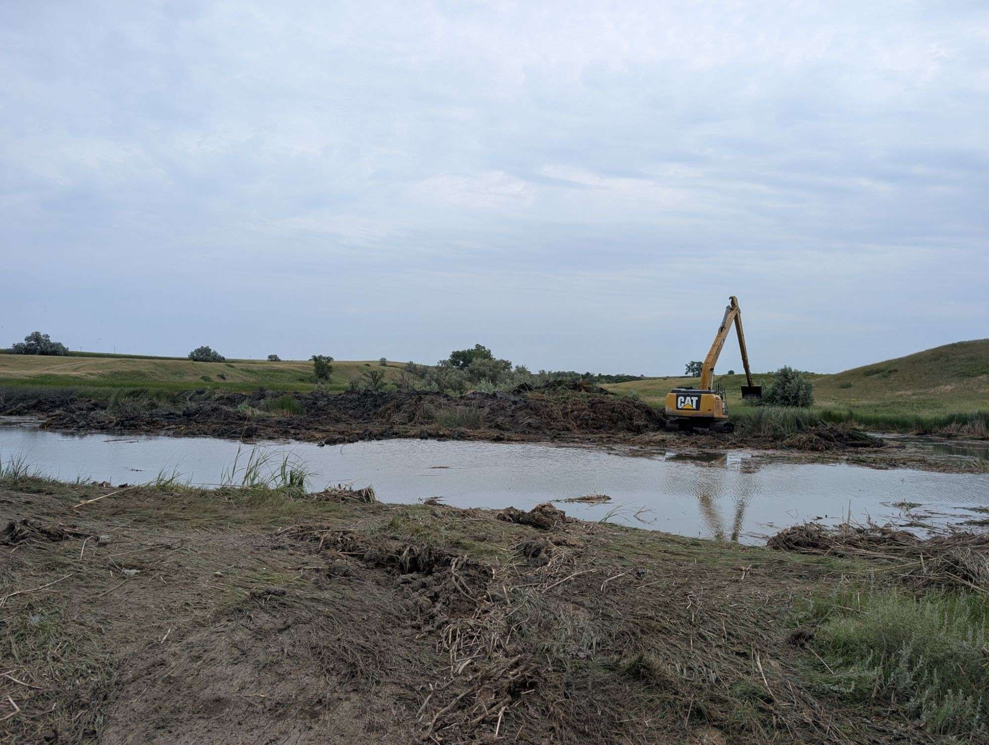 Long-reach excavator beside a pond, with cattails and silt from the cleanout piled along the bank